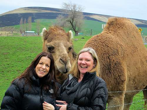 Krys Karns and Amy Lillard are paid a visit from local celebrity, Izzy the Camel.