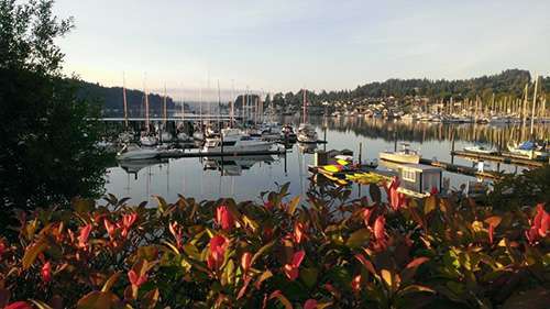 Photo courtesy of Karen Scott