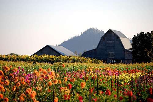 Photo courtesy of La Conner Chamber of Commerce