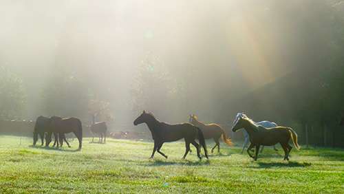 Photo courtesy of Kathleen McKay
