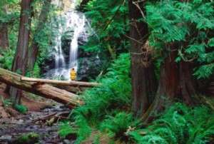 Hiking_at_Waterfall-Moran_St_Park