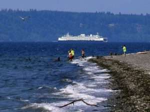 Shoreline_Beach_T_Downer