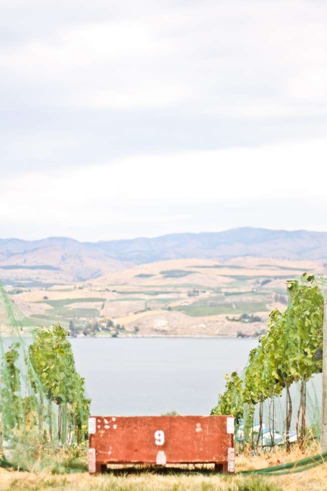 Photo credit: Kristen J. Cox Photography