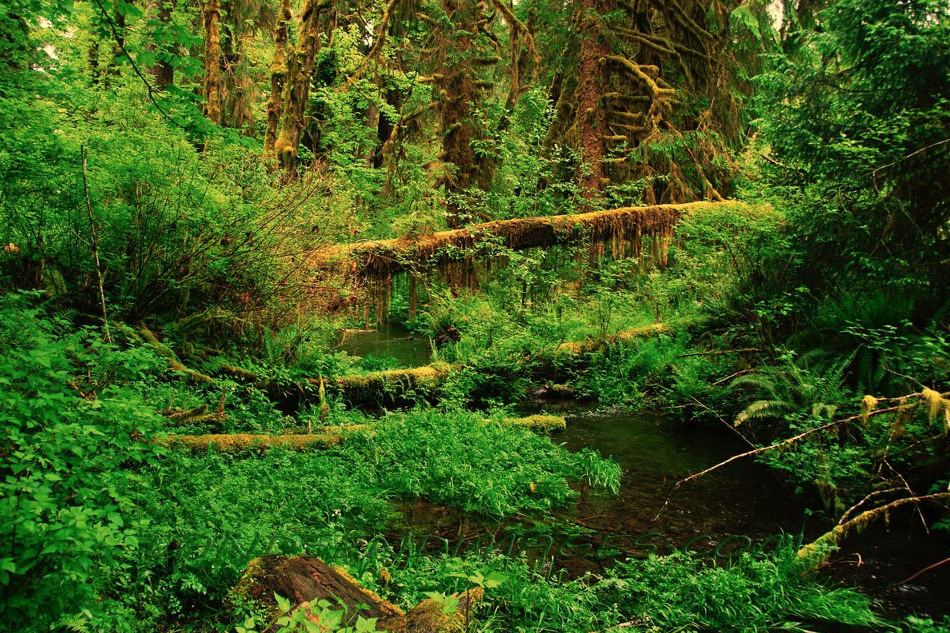 Photo credit: David Youngberg, Land's End Images